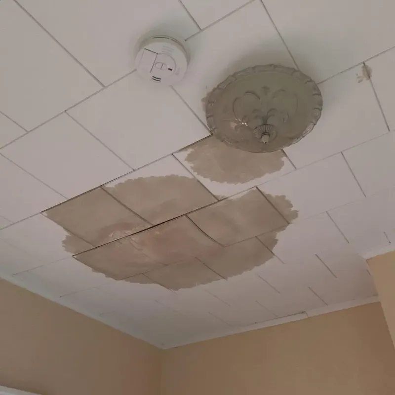 Ceiling Water Damage Repair in Carroll County, MO