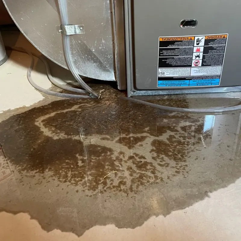 Pipe Burst and Leak Restoration in Carroll County, MO